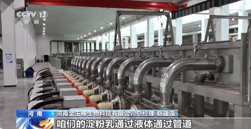 從‘農頭’到‘工尾’ 解析玉米豐收背后的漫長產業鏈與生物科技新篇章