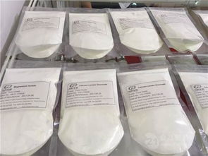 鴻輝生物 專注乳酸研發，引領生物科技未來