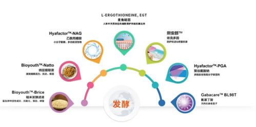 科技深耕潤澤未來，華熙生物憑玻尿酸項目榮摘省級科技桂冠